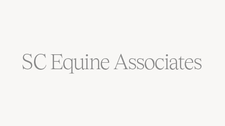 S-C-Equine-Associates